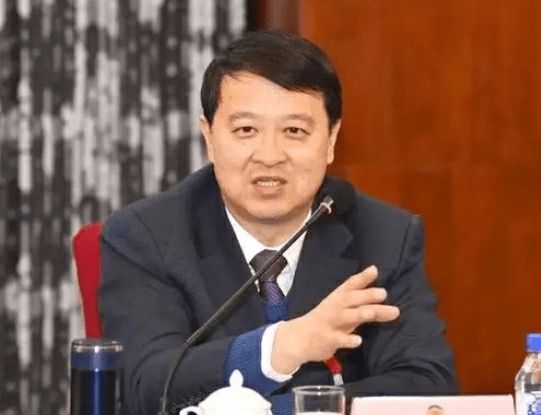 长春王庭凯最新视频，友谊的温暖与爱的力量日常记录