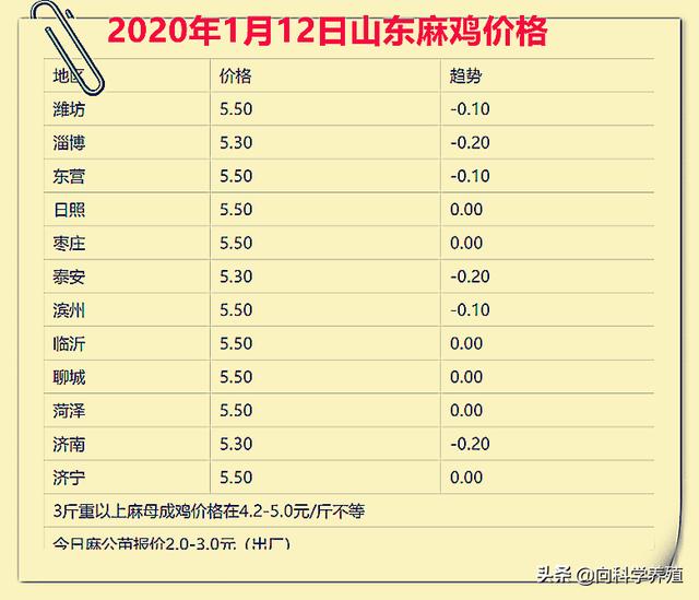 汽车装饰用品销售 第391页