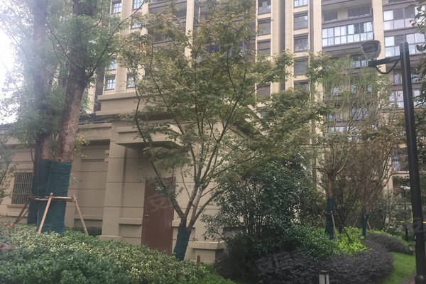 苏州红橡世家最新动态，科技重塑生活，体验未来家居新纪元