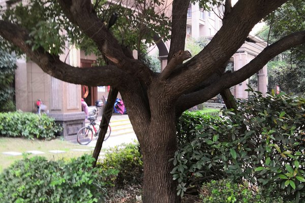 荆州南湖颐景最新动态揭秘，科技重塑生活，智能魅力尽显