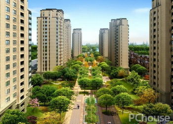胶南海棠湾，小巷深处的惊喜与最新房价探索