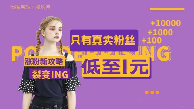 探索特色小店魅力的最新网络营销工具揭秘，小巷中的隐藏宝藏之旅