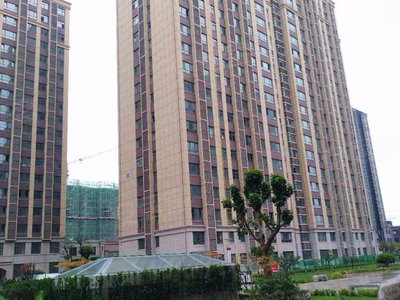 新隆中央城最新公告揭秘，小巷特色小店的独特魅力