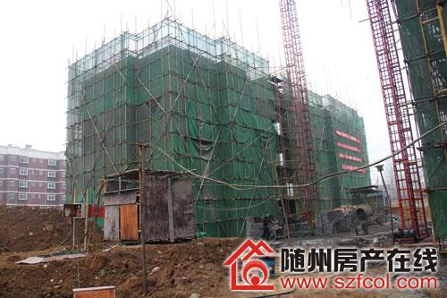 随州旺城家园最新动态揭秘，家的温馨日常与深厚友情的展现