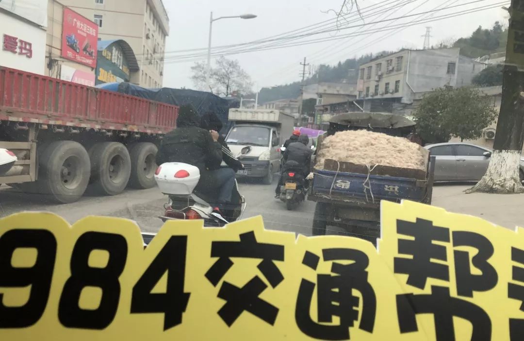 株洲市最新司机招聘启事，共赴自然美景，寻找内心平静之旅