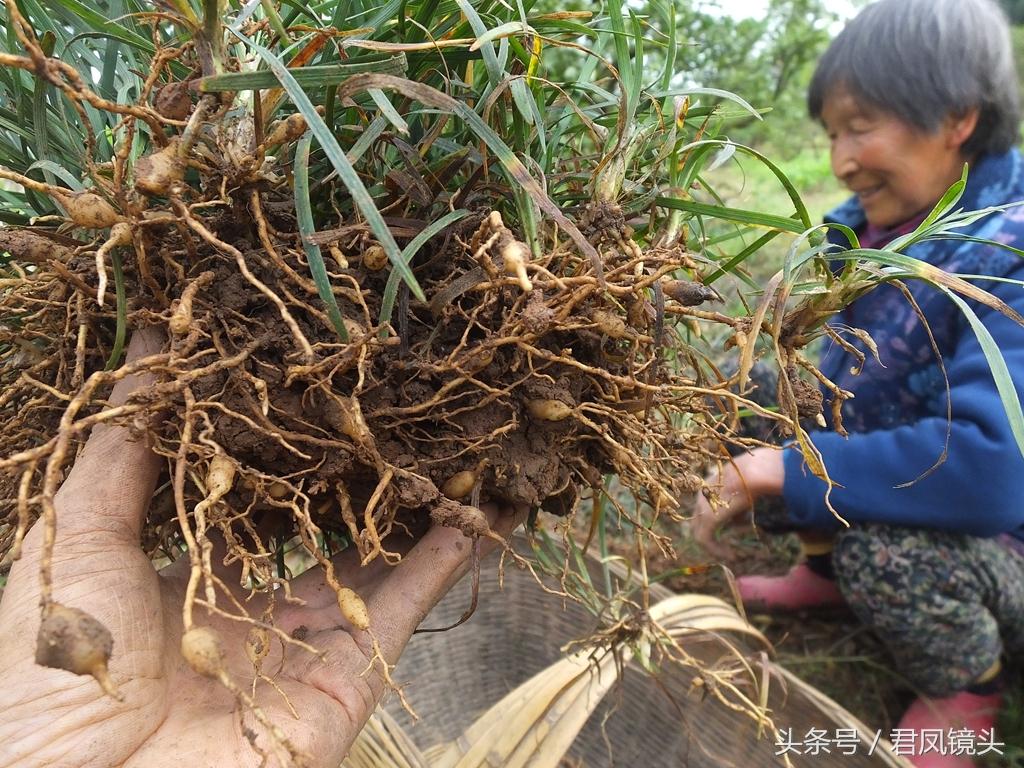 久草地址最新获取，警惕涉黄风险，共同维护社会良好秩序与公共利益。