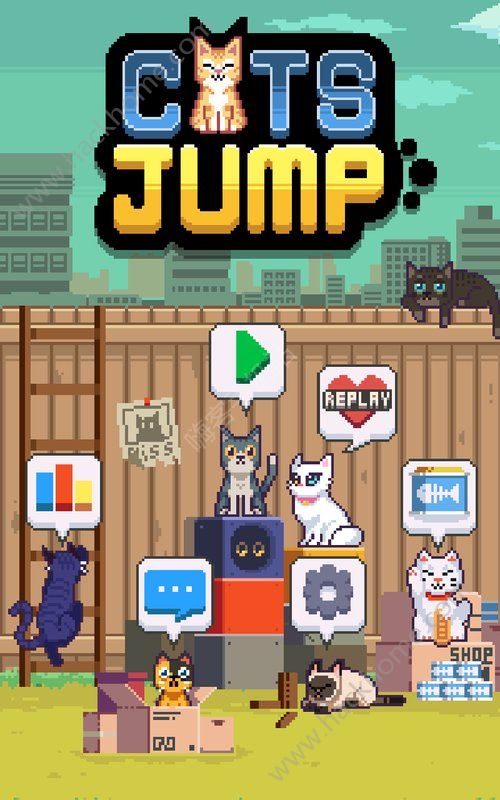 Cats最新版本使用指南，从初学者到进阶用户的全面步骤教程