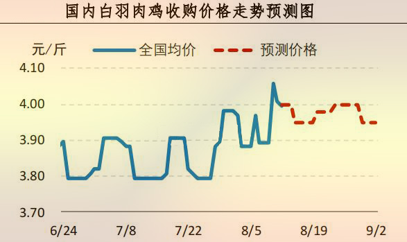 白羽鸡最新价格行情，价格动态与友情小趣事