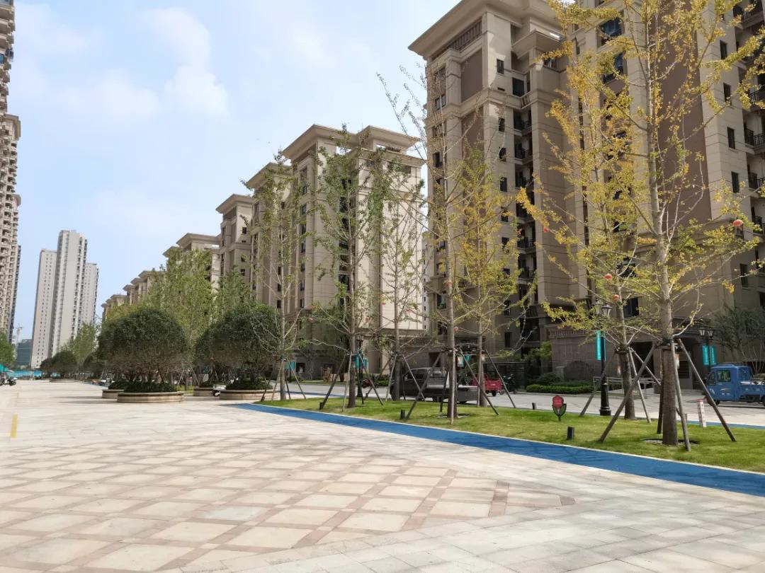 阜阳市房价走势详解，最新动态、关注与理解房价波动之道