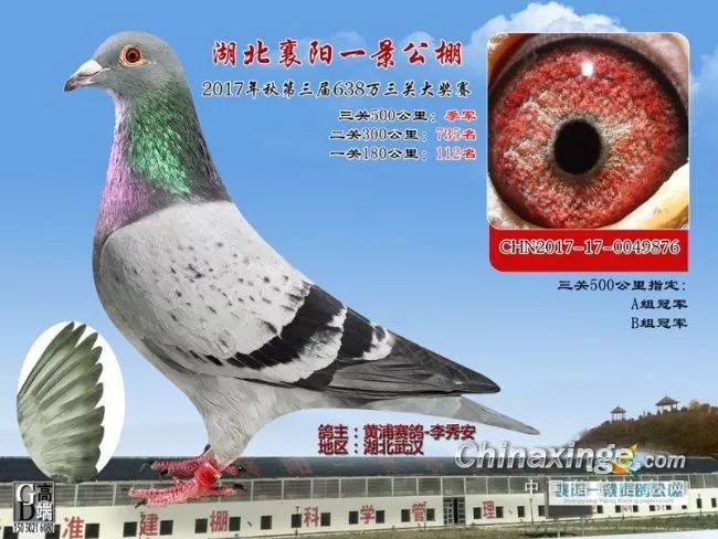 汽车销售 第360页