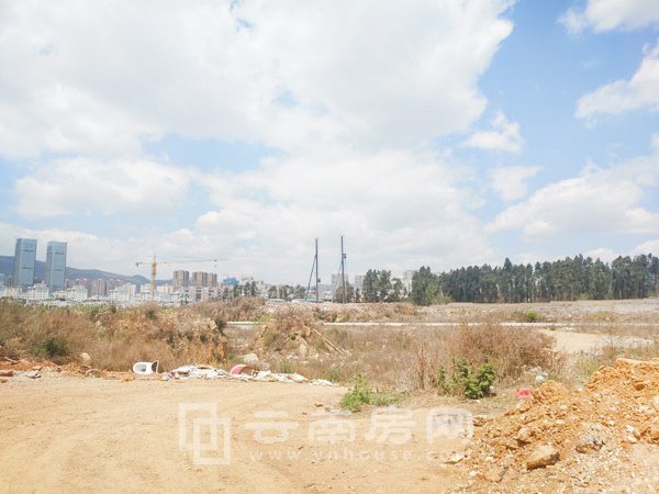 路易公元最新动态，历史脉络、重大事件与时代地位揭秘
