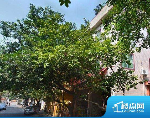 凤庆县最新楼盘详解，如何选择适合自己的楼盘指南