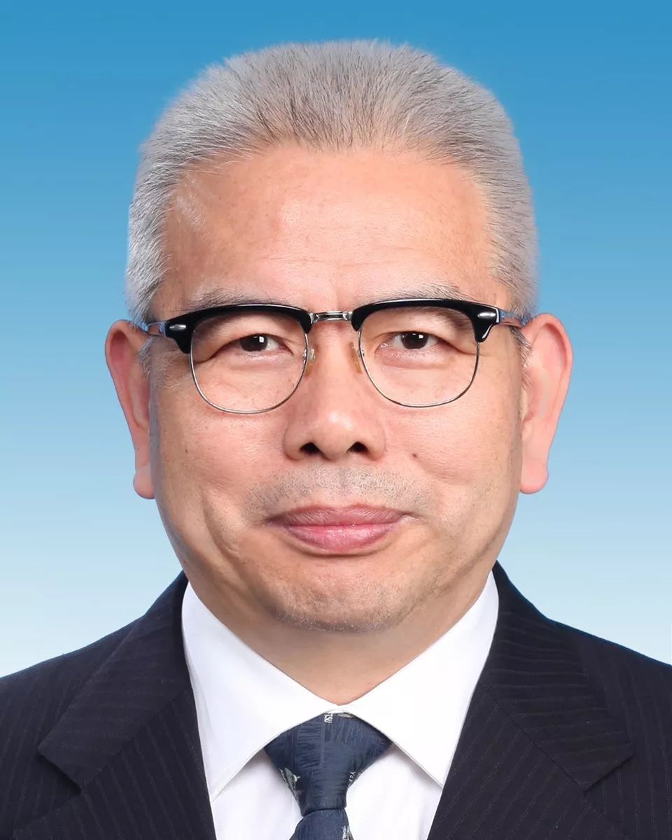 杭州林馥贞最新职务揭秘，探索与洞察