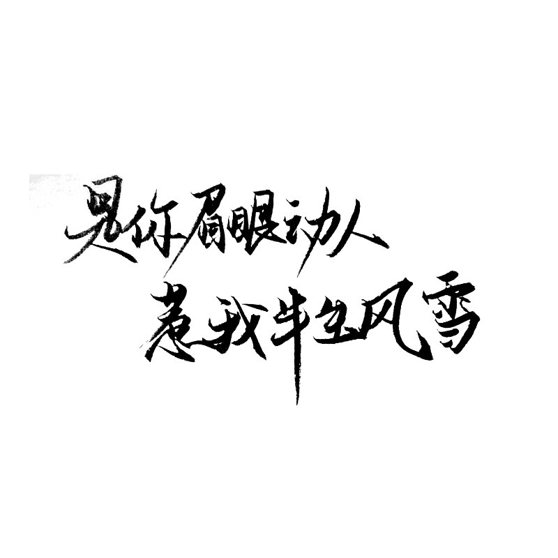 最新白底黑字文字图片,最新白底黑字文字图片