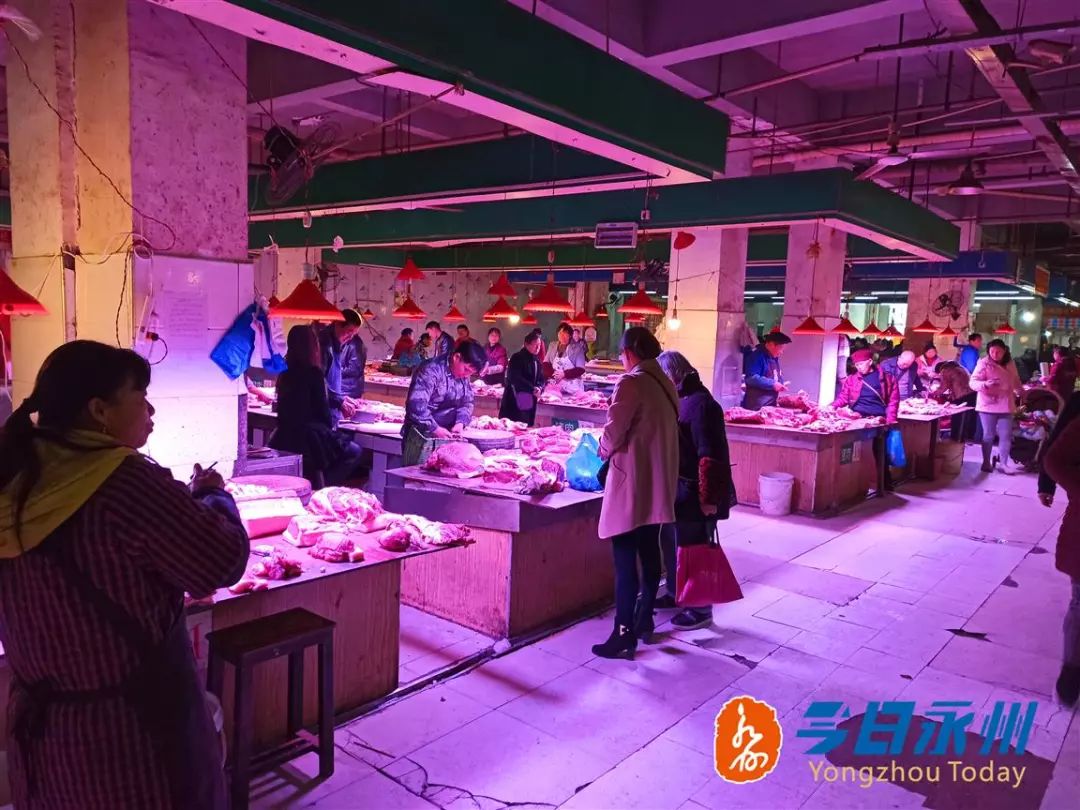永州市牲猪价格探索与内心平静的旅程