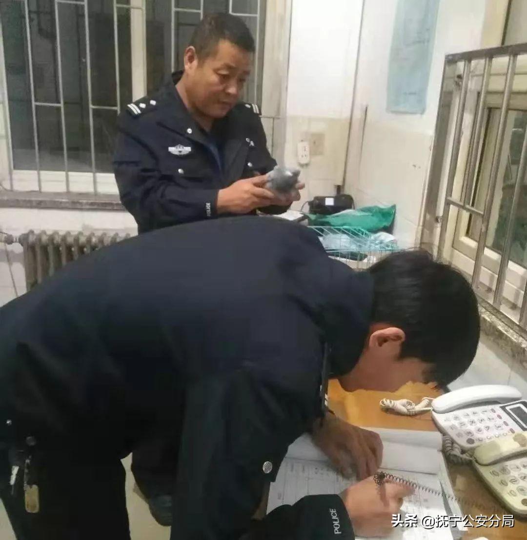 大成公棚最新动态，友情与陪伴的温暖故事