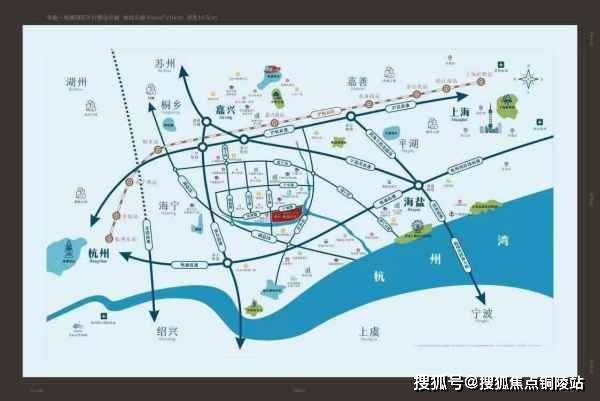 大神分析洋爽最新帖子,大神分析洋爽最新帖子，一段温馨有趣的日常故事