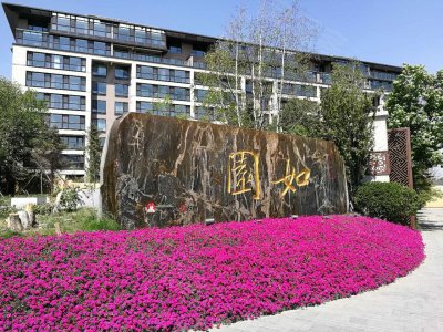 石家庄如园最新房价概览与动态分析