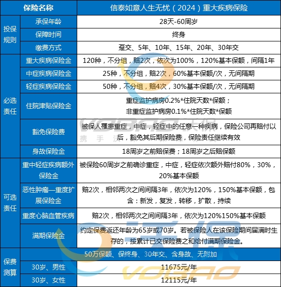 掌上信泰2024最新版，科技与生活完美融合的新时代应用