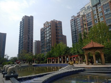 新田新城国际的日常趣事与情感纽带，最新消息一览