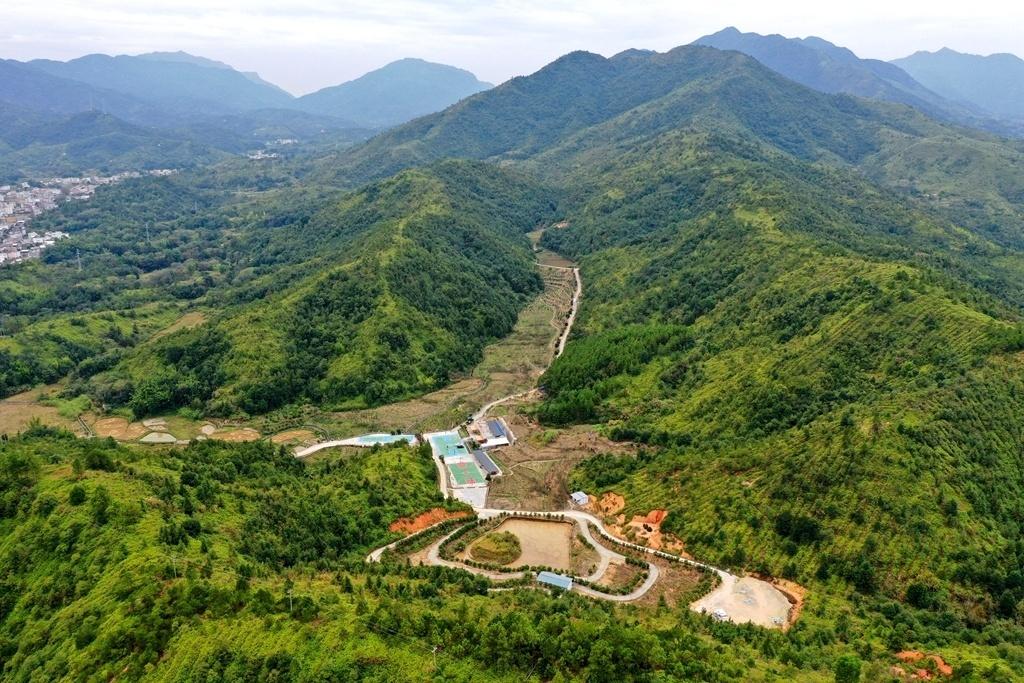 美丽生态股票最新动态与市场走势分析