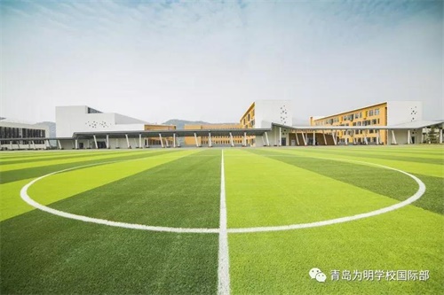 青岛明天中学最新动态报道