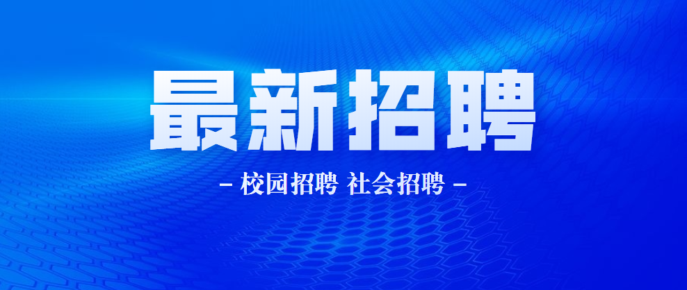天水华圆最新招聘信息，邻里小子的求职奇遇与友情纽带探索之旅