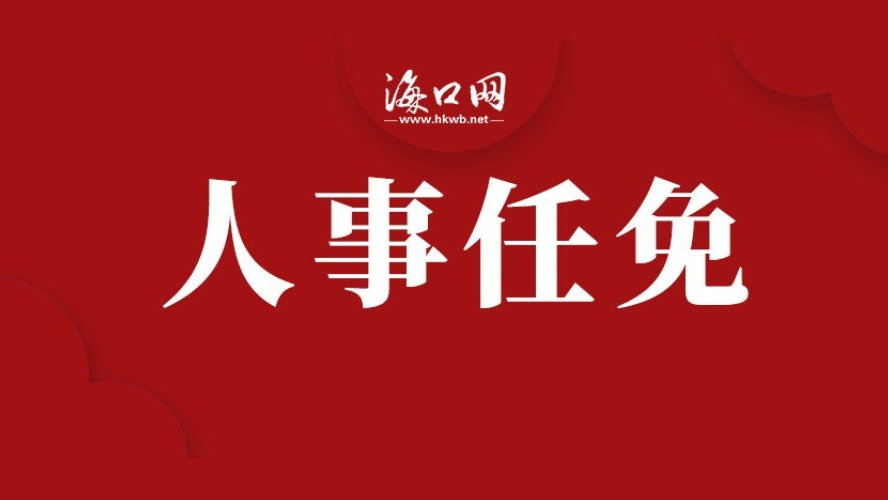 海南省最新人事任命，多方观点分析、个人立场阐述及影响探讨