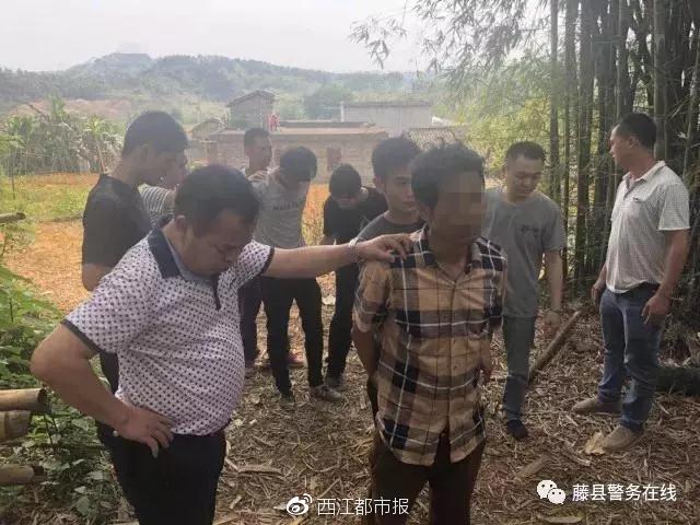 藤县大黎斗殴事件最新报道，科技应用引领智能安防新时代