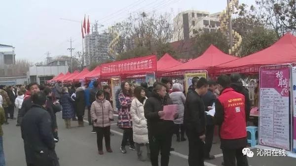 沁阳市最新招聘信息及其影响分析