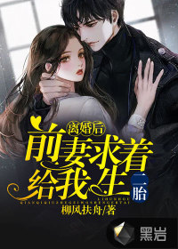 前妻带宝归来，最新章节深度解析与观点阐述
