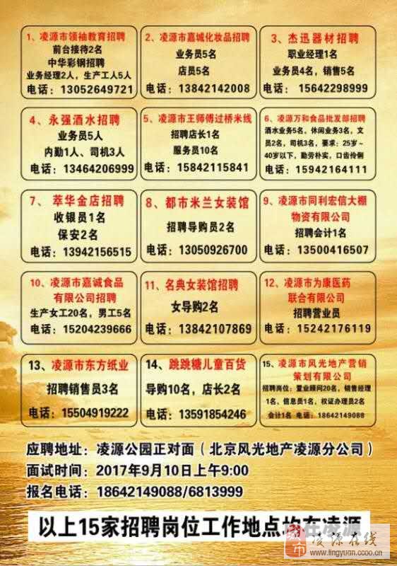 凌源最新钟点工招聘，小巷特色小店里的职业机遇探索