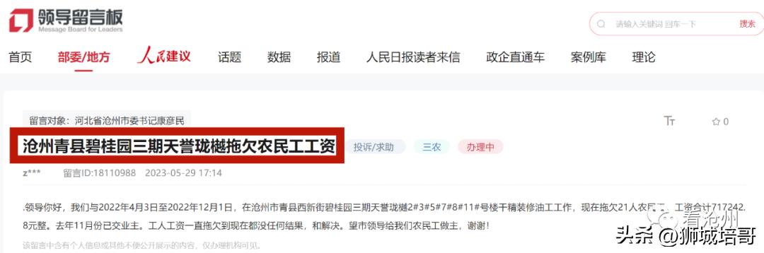 青县碧桂园最新动态🌟