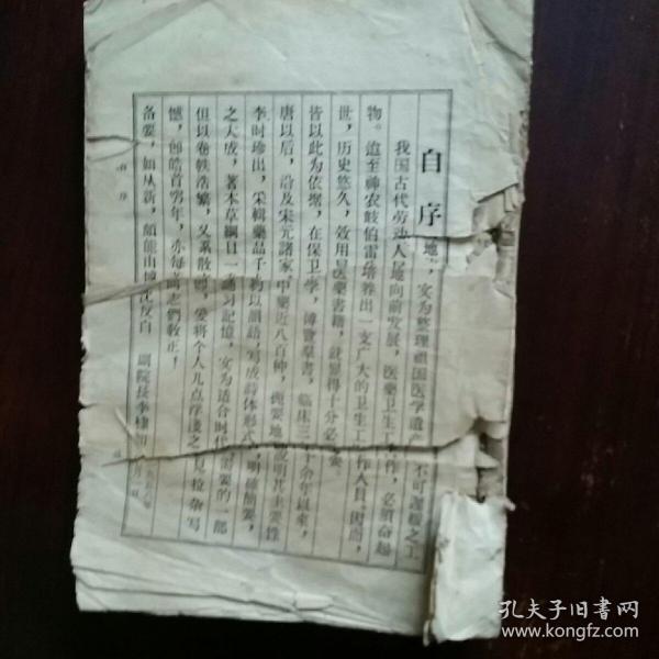 欧阳小文最新诗解解析