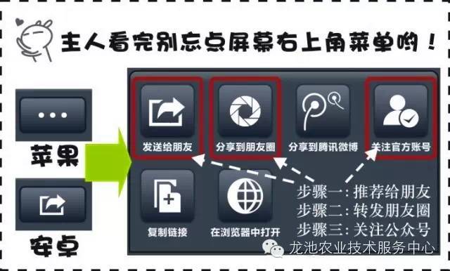 2024新奥免费看的资料,定量解析解释法_Phablet49.428