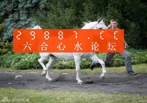澳门一肖一码一必中一肖同舟前进,信息明晰解析导向_精密版15.250