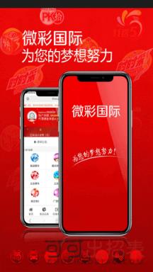 新澳今晚开奖结果查询,详细数据解读_职业版5.389