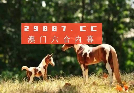 2024澳门最精准跑狗图,数据整合解析计划_定制版64.930