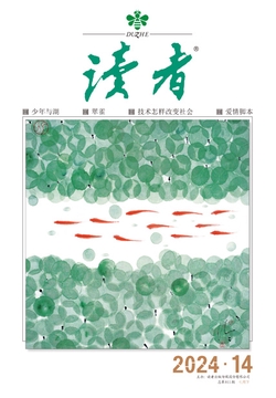 2024香港历史开奖记录,专业解读操行解决_触感版35.596
