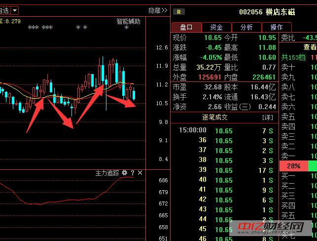 横店东磁股票最新动态更新，最新消息与走势分析
