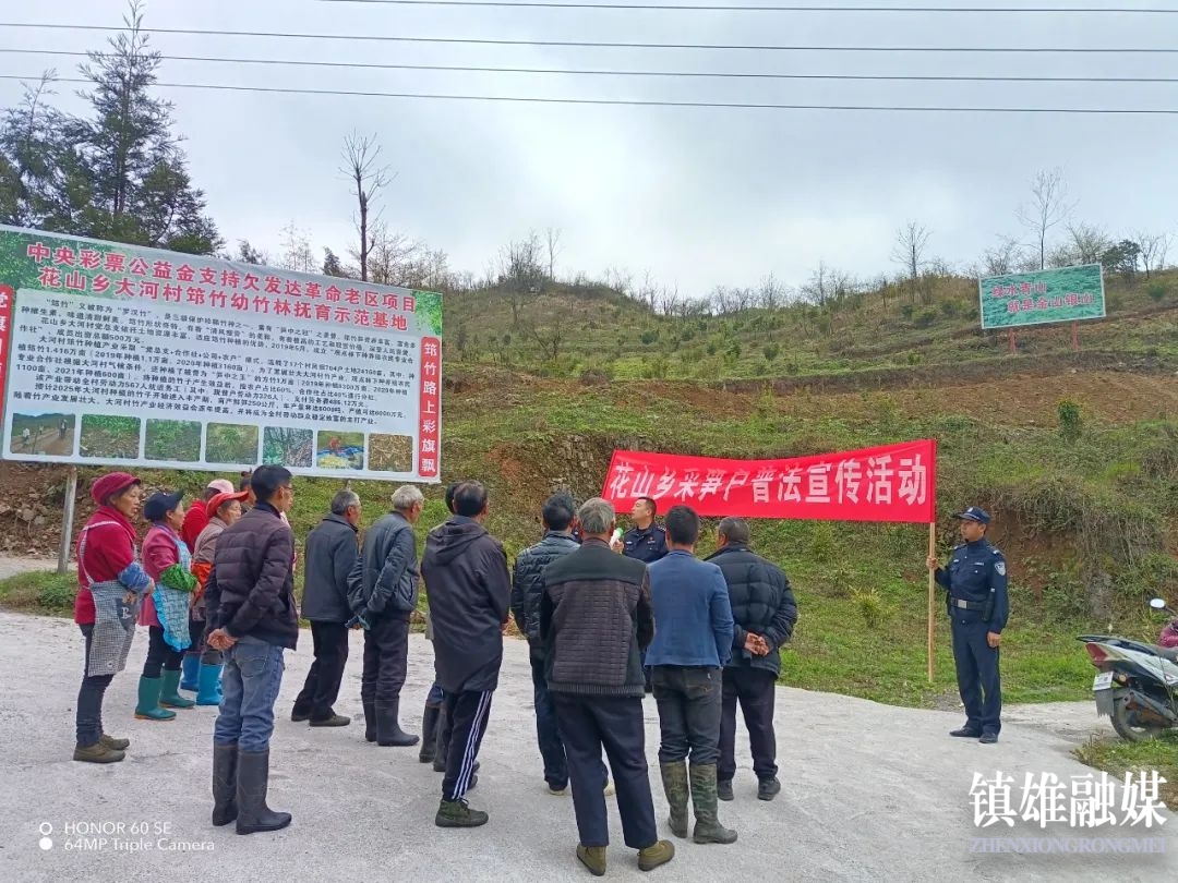 镇雄大湾镇最新动态更新，最新消息汇总