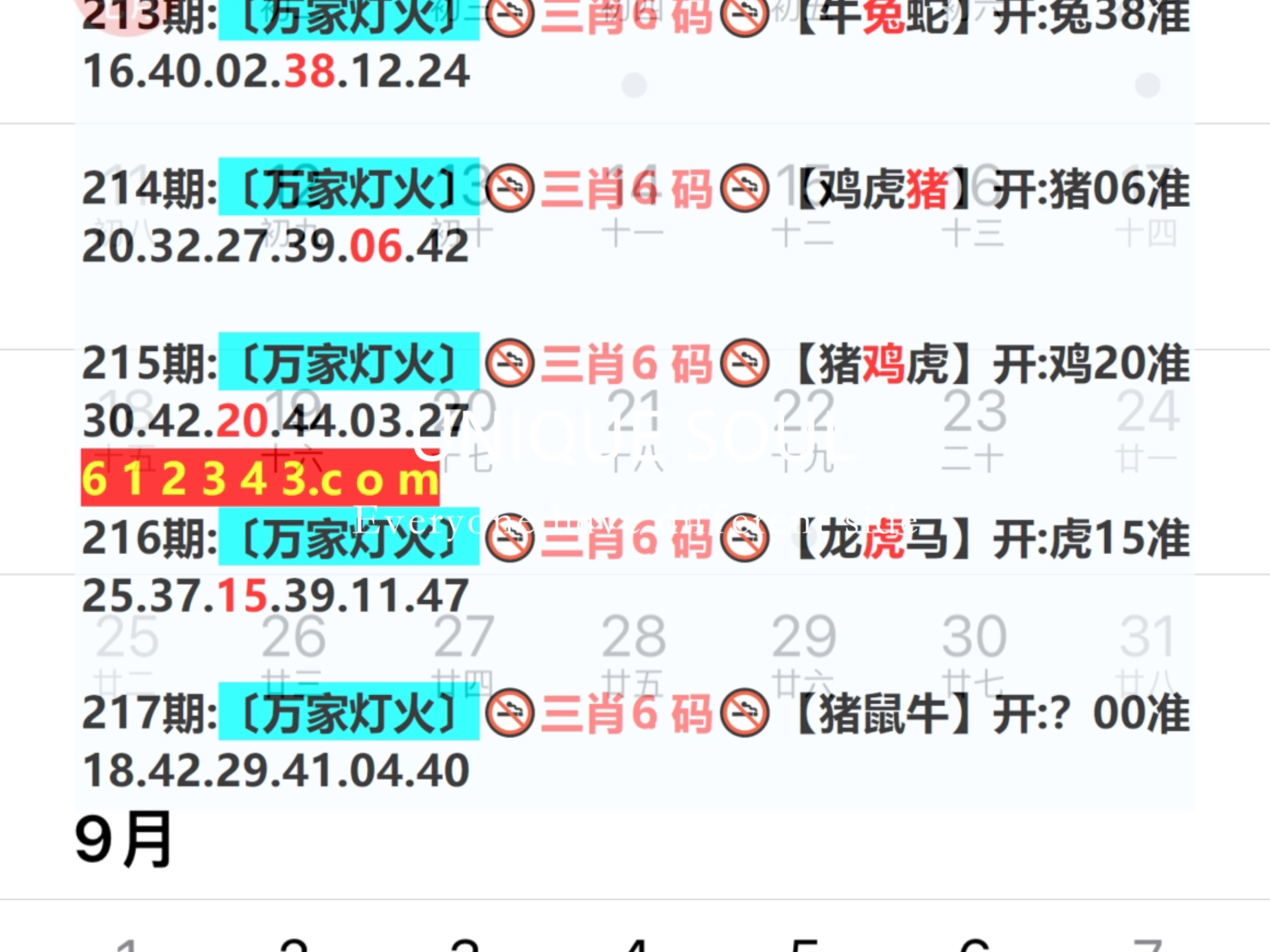 新奥2024一肖一码,现况评判解释说法_外观版58.679