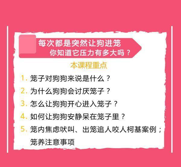 新奥门天天彩免费资料大全,专业解读方案实施_透明版82.591