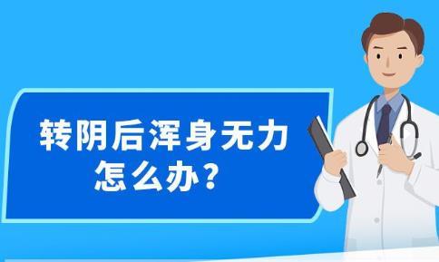 新澳精准资料免费提供,灵活执行方案_开放版83.274