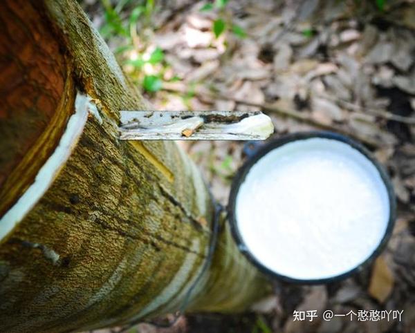 泰国橡胶抛储最新动态，科技革新引领橡胶新纪元