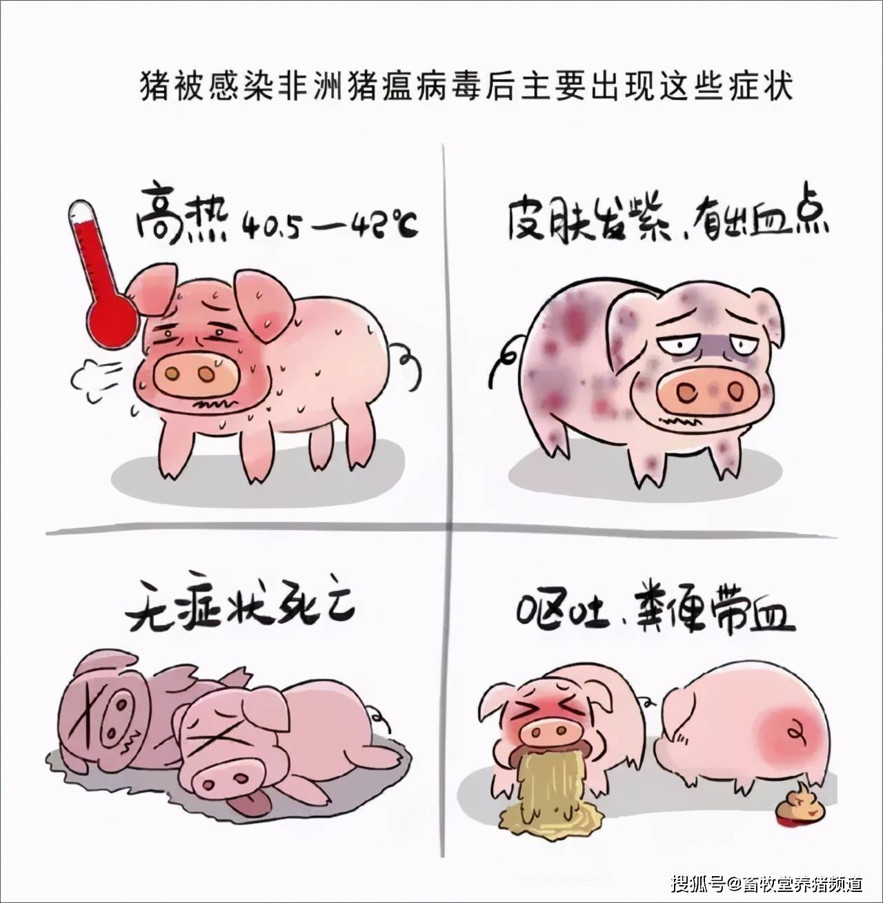新型猪流感情动态，变化中的学习之旅与自信成就之源