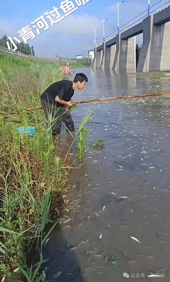 江西溺水事件最新消息回顾与影响分析（XXXX年聚焦）