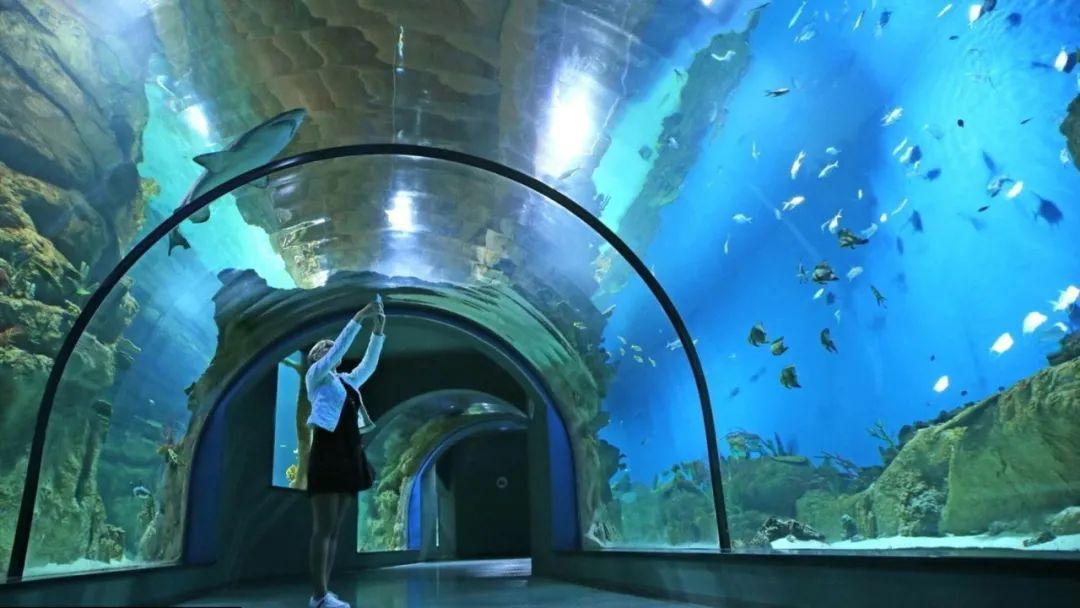 中国海洋馆排名最新,中国海洋馆排名最新，在变化中找寻自信与成就感