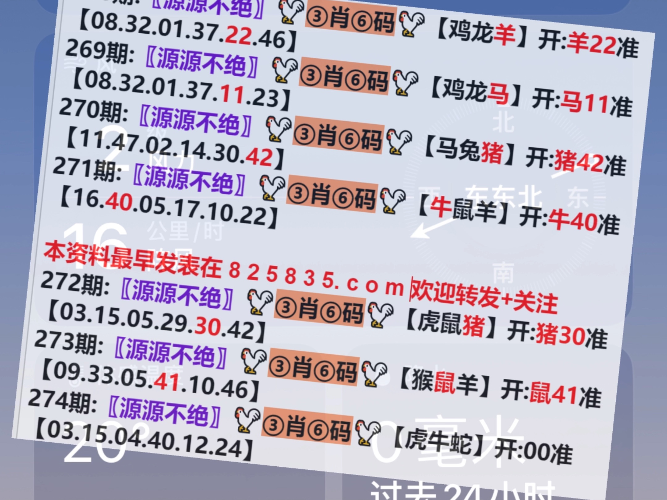 2024今晚新澳门开奖号码,实际调研解析_通玄境12.509