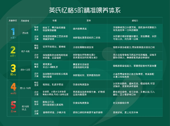 2024年新奥天天精准资料大全,科学分析严谨解释_线上版30.177
